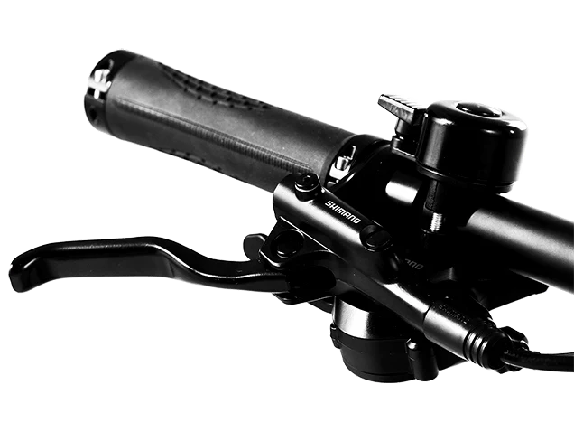 E-bike Swift Foldable